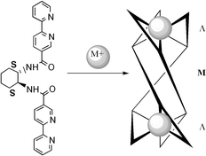 Graphical abstract: Self-assembled triple helicates with preferential helicity