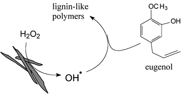 Graphical abstract: Spontaneous polymerisation on amphibole asbestos: relevance to asbestos removal