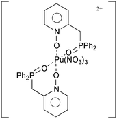 Graphical abstract: Synthesis and crystal structure of a ten-coordinate plutonium(iv) ion complexed by 2-[(diphenylphosphino)methyl]pyridine N,P-dioxide: [Pu(NO3)3{2-[(C6H5)2P(O)CH2]C5H4NO}2][Pu(NO3)6]0.5