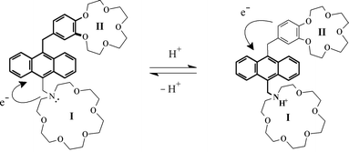 Graphical abstract: New fluorescent probes for the detection of mixed sodium and potassium metal ions