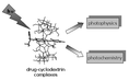 Graphical abstract: Photoprocesses of photosensitizing drugs within cyclodextrin cavities