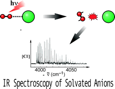 Graphical abstract: Spectroscopic studies of anion complexes and clusters: A microscopic approach to understanding anion solvation