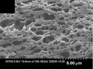 Graphical abstract: Synthesis and macroscopic second-order nonlinear optical properties of poly(ether imide)s containing a novel two-dimensional carbazole chromophore with nitro acceptors