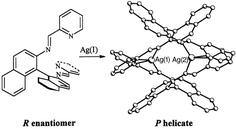 Graphical abstract: Directed one-pot syntheses of enantiopure dinuclear silver(i) and copper(i) metallo-supramolecular double helicates