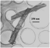 Graphical abstract: Chiral nanotubes of polyaniline synthesized by a template-free method