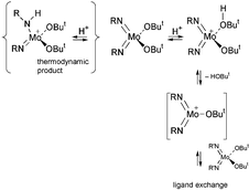 Graphical abstract: The role of Brønsted acid catalysis in inter-metal ligand exchange reactions