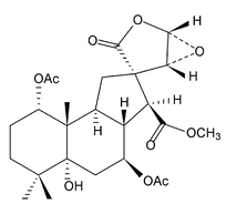 Graphical abstract: Isolation and characterization of spirocaesalmin, a novel rearranged vouacapane diterpenoid from Caesalpinia minax Hance