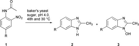Graphical abstract: Reductive cyclization with baker's yeast of 4-alkyl-2-nitroacetanilides to 6-alkylbenzimidazoles and 1-hydroxy-2-methyl-6-alkylbenzimidazoles
