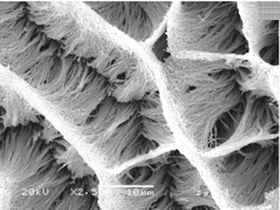 Graphical abstract: Sol–gel template synthesis and structural properties of a highly ordered LiNi0.5Mn0.5O2 nanowire array