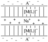 Graphical abstract: Na+-Mediated aggregation of imino-carboxylate transition metal complexes