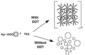 Graphical abstract: Single phase preparation of monodispersed silver nanoclusters using a unique electron transfer and cluster stabilising agent, triethylamine