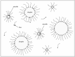 Graphical abstract: Synthesis of high surface area monoclinic WO3 particles using organic ligands and emulsion based methods