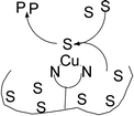 Graphical abstract: Metal–chelator polymers as organophosphate hydrolysis catalysts