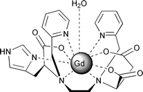 Graphical abstract: Novel optically-active bis(amino acid) ligands and their complexation with gadolinium