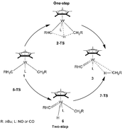 Graphical abstract: Carbon–hydrogen bond activation in cyclopentadienyl dimethyl tungsten nitrosyl and carbonyl