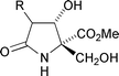 Graphical abstract: Diastereocontrolled synthesis of hydroxylated lactams