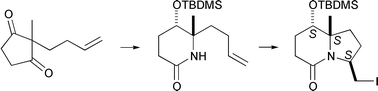 Graphical abstract: Synthesis of 6-alkyl analogues of the 1-azabicyclo[4.3.0]nonan-2-one system by a strategy of geminal acylation and Beckmann rearrangement