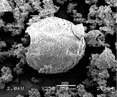 Graphical abstract: Particle morphology and microstructure in the mesoporous silicate SBA-2