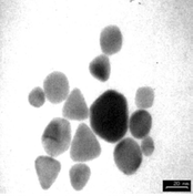 Graphical abstract: Factors affecting the size of polymer stabilized Pd nanoparticles