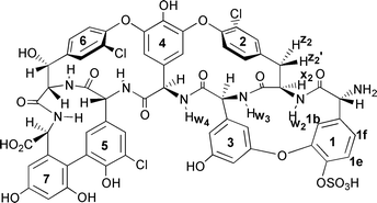 Graphical abstract: Aggregation, binding, and dimerisation studies of a teicoplanin aglycone analogue (LY154989)
