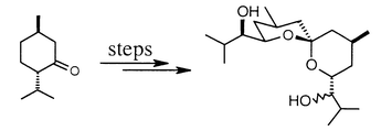 Graphical abstract: Convergent synthesis of the spiroketal core of the HIV-1 protease inhibitors the didemnaketals