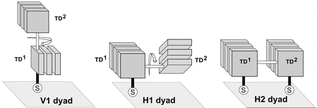 Graphical abstract: Design, synthesis, and characterization of prototypical multistate counters in three distinct architectures