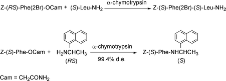 Graphical abstract: Superiority of the carbamoylmethyl ester as an acyl donor for the kinetically controlled amide-bond formation mediated by α-chymotrypsin