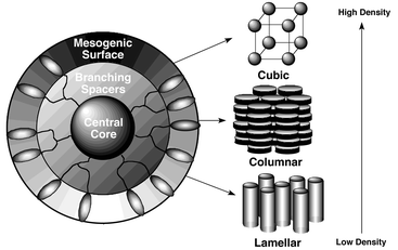 Graphical abstract: An introduction to Materials Discussion No. 4: Molecular topology in liquid crystals 11–14 September 2001, Grasmere