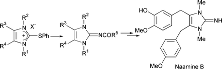 Graphical abstract: New access to 1,3-dialkyl-2,3-dihydro-2-imino-1H-imidazoles and their application to the first total synthesis of naamine B, a marine 2,3-dihydro-2-imino-1,3-dimethyl-1H-imidazole alkaloid