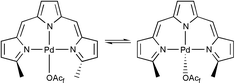 Graphical abstract: One compound, two structures: synthesis, structures and reactivity of a novel (tripyrrinato)palladium(ii) trifluoracetate complex TrpyPdOAcf