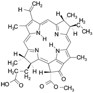 Graphical abstract: Microcrystalline cellulose as a carrier for hydrophobic photosensitizers in water