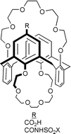 Graphical abstract: Novel caesium-selective, 1,3-alternate calix[4]arene-bis(crown-6-ethers) with proton-ionizable groups for enhanced extraction efficiency