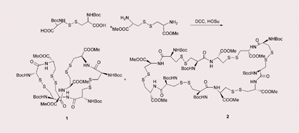 Graphical abstract: Unusual cyclo-tetra and hexa peptidation of bis-boc-cystine with cystine-di-OMe: one step preparation of the novel 32- and 48-membered cyclotetracystine and cyclohexacystine