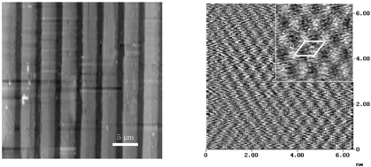 Graphical abstract: Controlled growth of layered silver stearate on patterned organic monolayers
