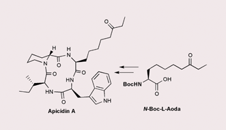 Graphical abstract: Solid-phase synthesis of apicidin A and a cyclic tetrapeptoid analogue