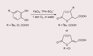 Graphical abstract: Oxygenative cleavage of catechols including protocatechuic acid with molecular oxygen in water catalysed by water-soluble non-heme iron(iii) complexes in relevance to catechol dioxygenases