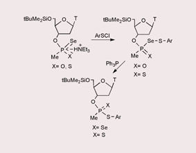 Graphical abstract: New examples of mixed seleno-sulfides; reactions with triphenylphosphine