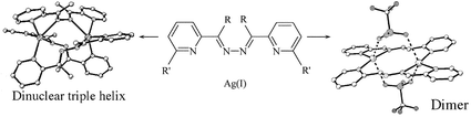 Graphical abstract: Triple helicates and planar dimers arising from silver(i) coordination to directly linked bis-pyridylimine ligands