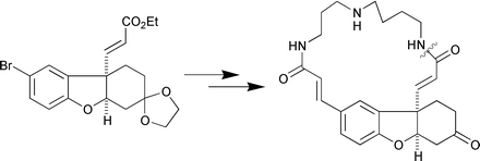 Graphical abstract: Regiocontrolled synthesis of the macrocyclic polyamine alkaloid (±)-lunarine, a time-dependent inhibitor of trypanothione reductase