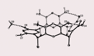 Graphical abstract: A novel scoop-shaped conformation of C-methylcalix[4]resorcinarene in a bilayer structure