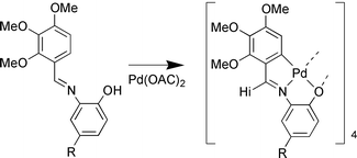 Graphical abstract: Synthesis and reactivity of novel cyclometallated complexes derived from [C,N,O] terdentate ligands. Crystal structure of [Pd{2,3,4-(MeO)3C6HC(H) [[double bond, length half m-dash]] N[2-(O)C6H4]}(PPh3)]