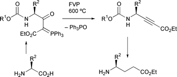 Graphical abstract: Flash vacuum pyrolysis of stabilised phosphorus ylides. Part 17.1 Preparation of aliphatic amino acid derived γ-alkoxycarbonylamino-β-oxo ylides and pyrolysis to give α,β-acetylenic γ-amino acid and GABA analogues