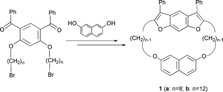 Graphical abstract: Synthesis of novel cyclophanes containing both benzo[1,2-b:5,4-b′]difuran and naphthalene rings