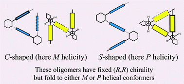 Graphical abstract: Folding of aromatic oligoimides of trans-1,2-diaminocyclohexane