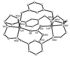 Graphical abstract: Cascade chemistry in azacryptand cages: bridging carbonates and methylcarbonates
