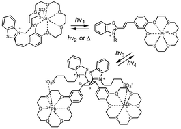 Graphical abstract: Supramolecular assemblies of photochromic benzodithia-18-crown-6 ethers in crystals, solutions, and monolayers