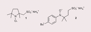 Graphical abstract: Water-soluble aminoxyls (nitroxides): 2-methyl-2-[(N-(4-tert-butylphenyl)oxyl]propanesulfonate and (1-oxyl-2,5,5-trimethylpyrrolidin-2-yl)methanesulfonate