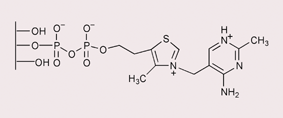Graphical abstract: Practical tethering of vitamin B1 on a silica surface via its phosphate group and evaluation of its activity