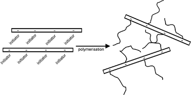 Graphical abstract: Organic/inorganic hybrids by ‘living’/controlled ATRP grafting from layered silicates