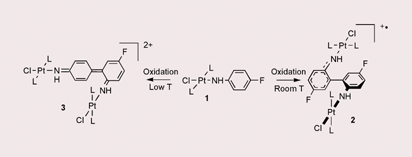 Graphical abstract: Oxidative coupling of platinum arylamides: temperature dependent C–H or C–F cleavage